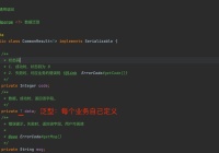 异常处理（错误码）